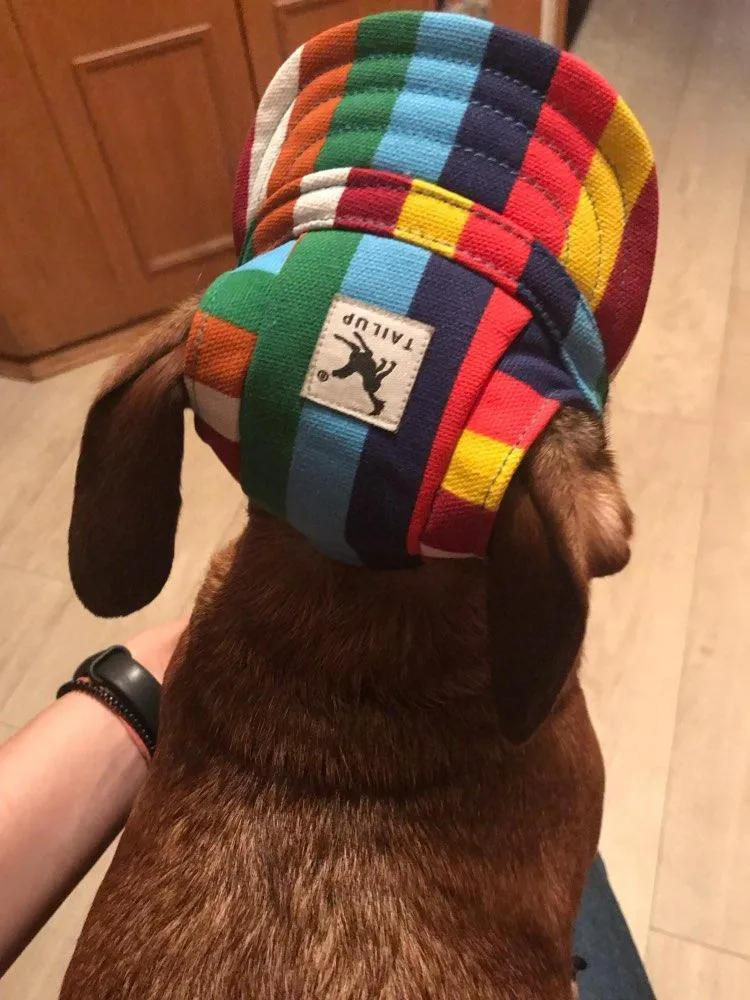 Dog Baseball Cap with Ear Holes
