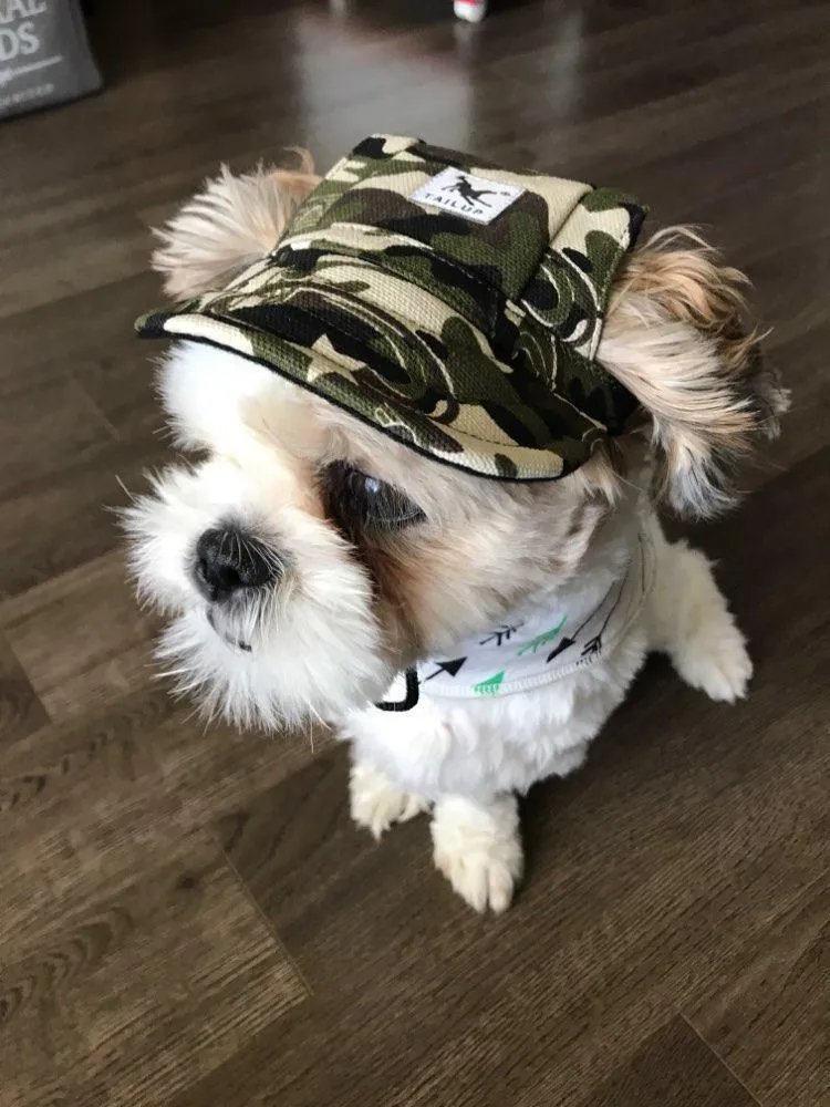 Dog Baseball Cap with Ear Holes