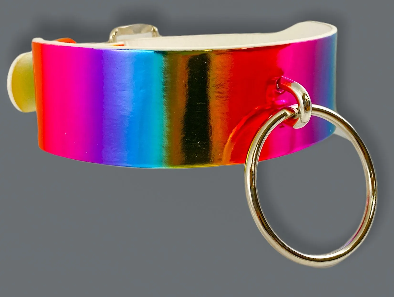 Rainbow Choker With U Ring And 2" Ring