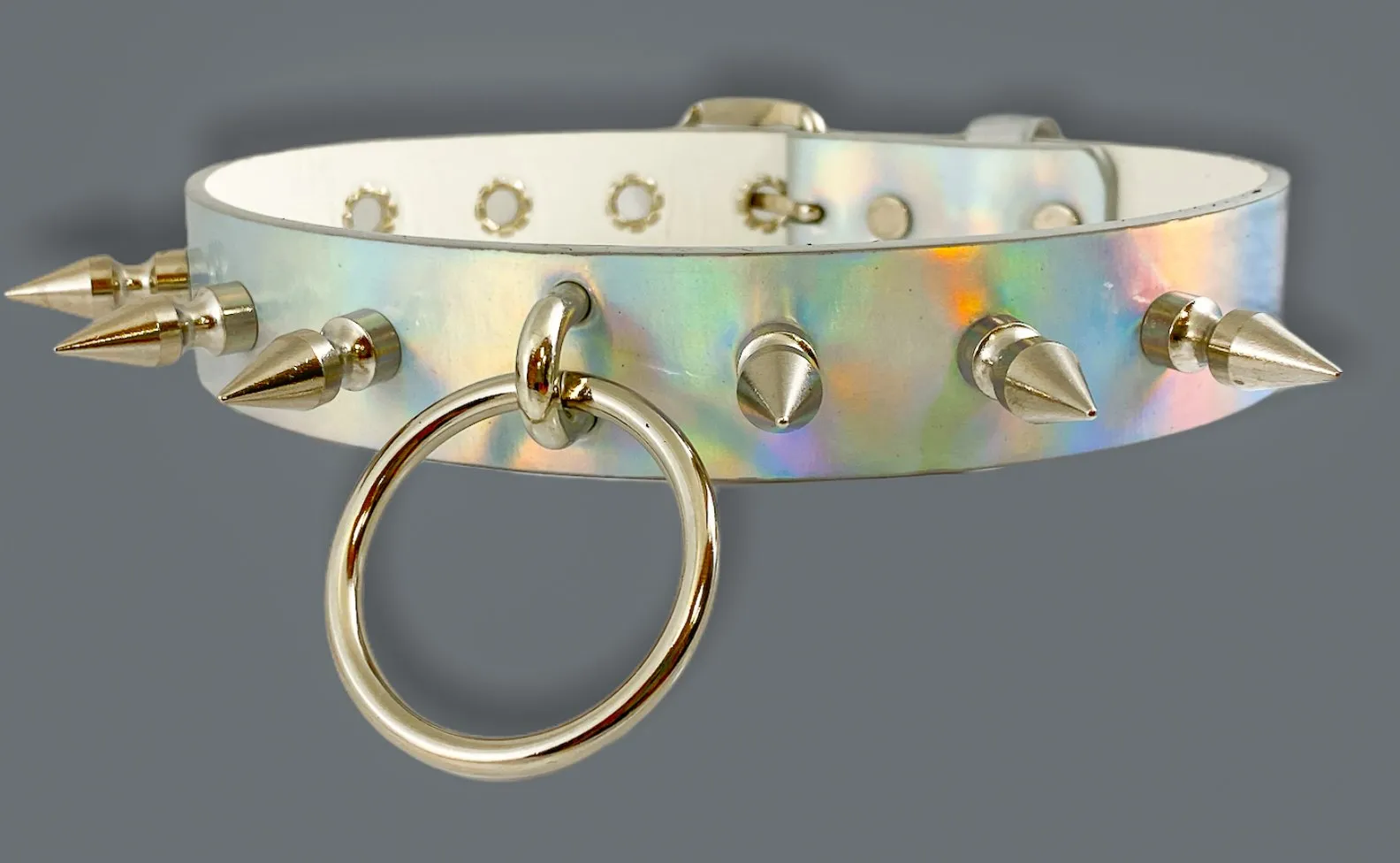 Rainbow Choker With U Ring And2" Ring. And  Spike
