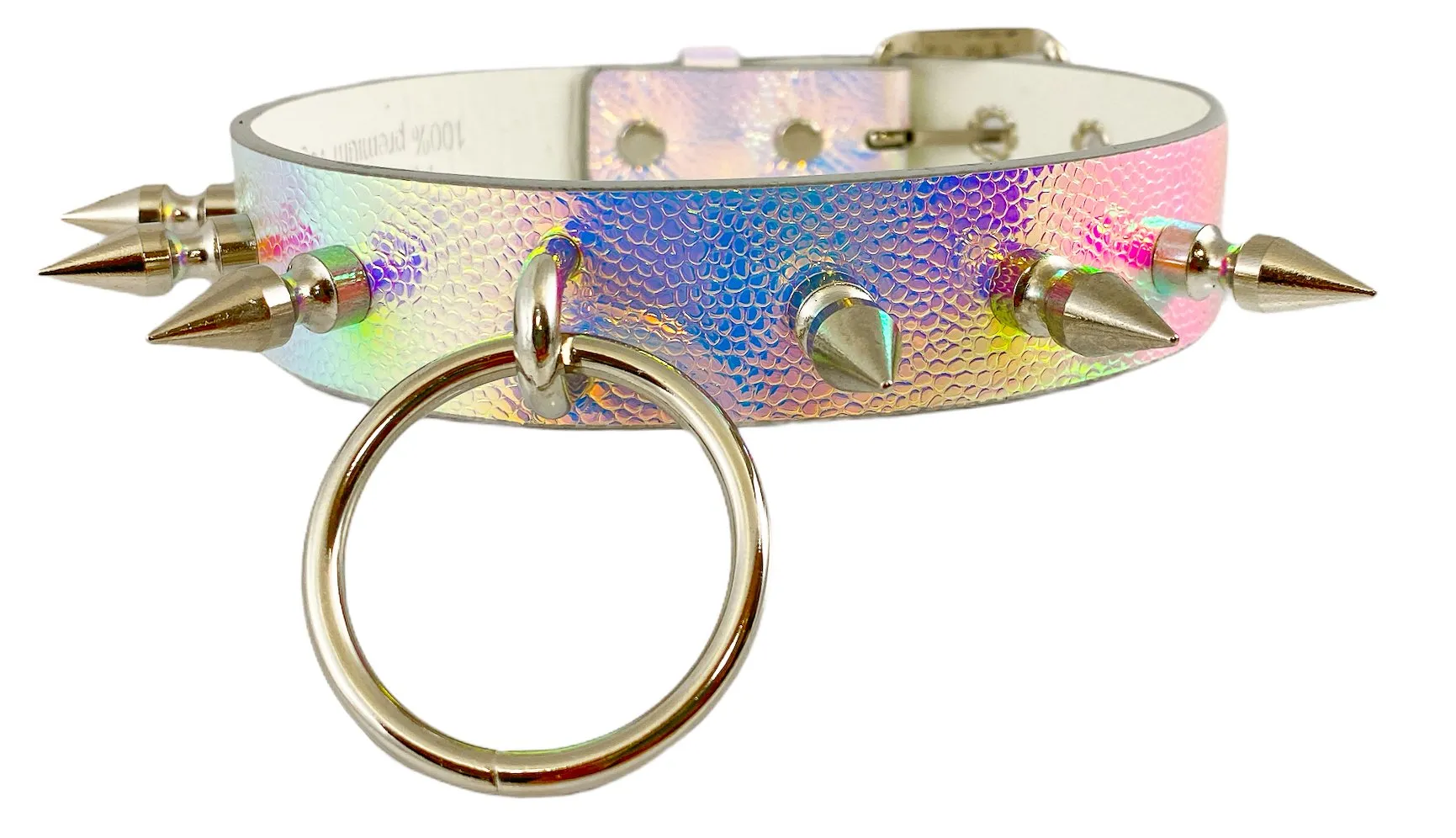 Rainbow Choker With U Ring And2" Ring. And  Spike