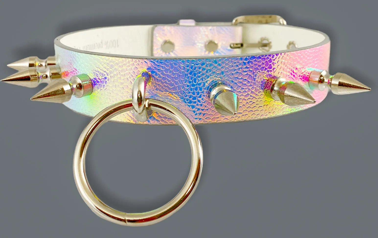 Rainbow Choker With U Ring And2" Ring. And  Spike