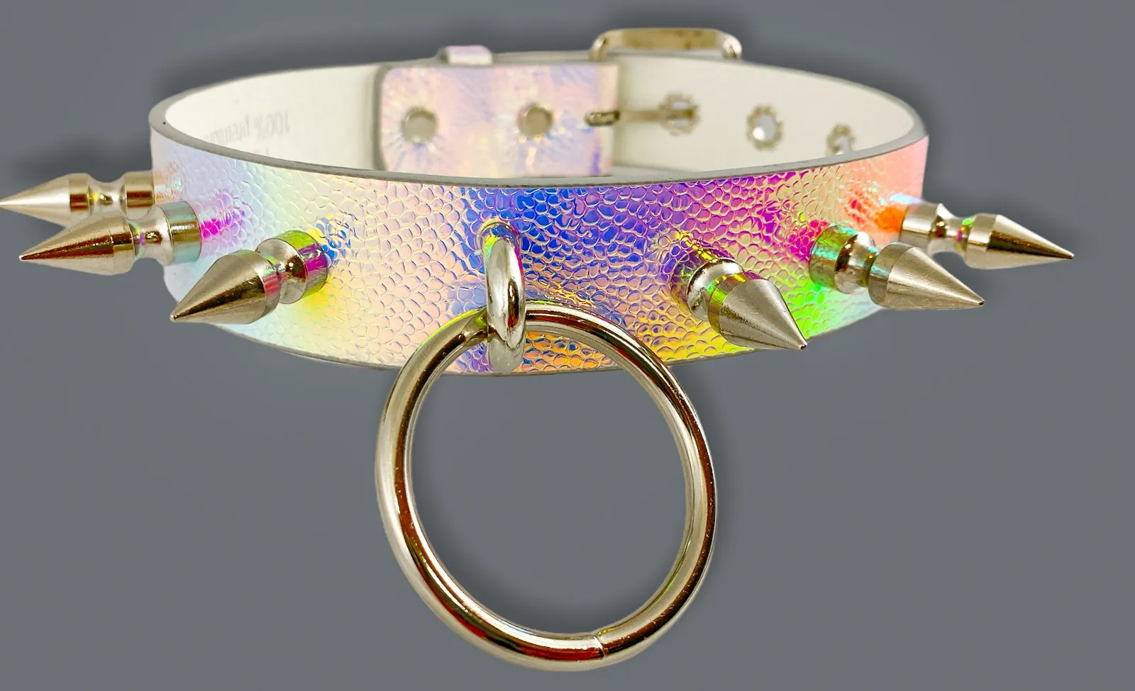 Rainbow Choker With U Ring And2" Ring. And  Spike