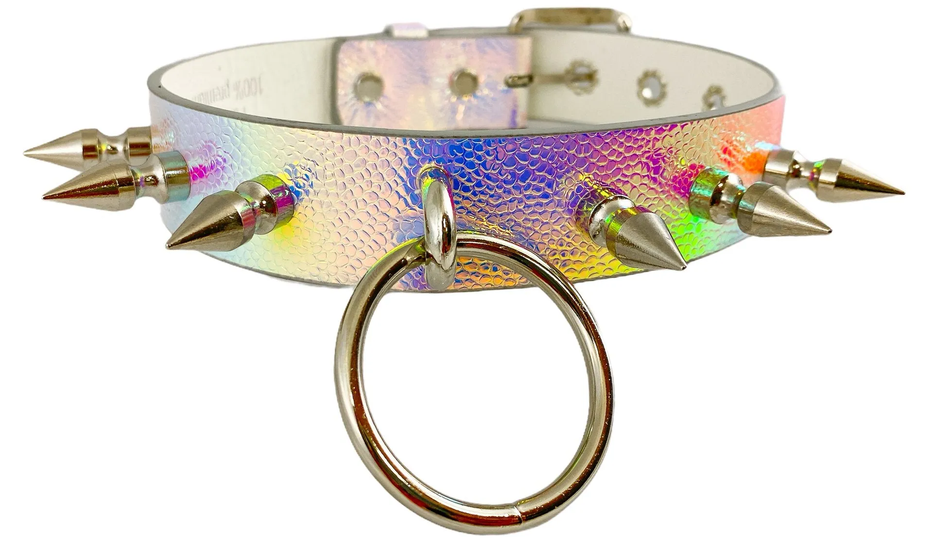 Rainbow Choker With U Ring And2" Ring. And  Spike