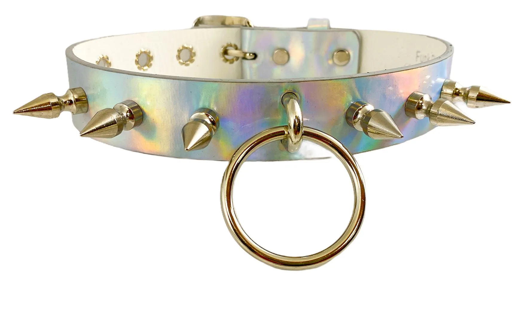 Rainbow Choker With U Ring And2" Ring. And  Spike