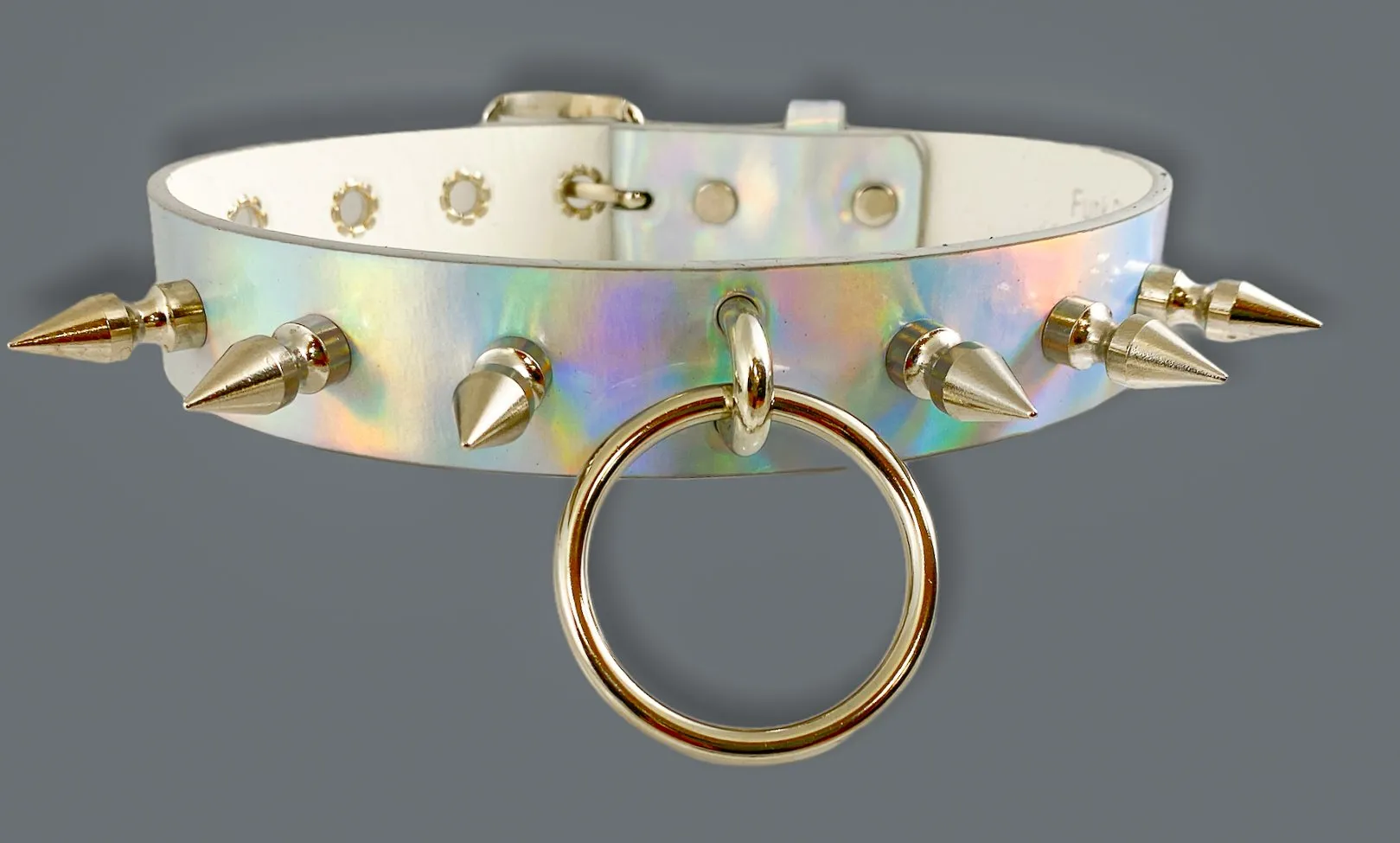 Rainbow Choker With U Ring And2" Ring. And  Spike